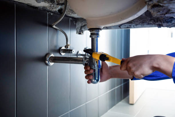 Best Garbage Disposal Repair and Installation  in Mansura, LA